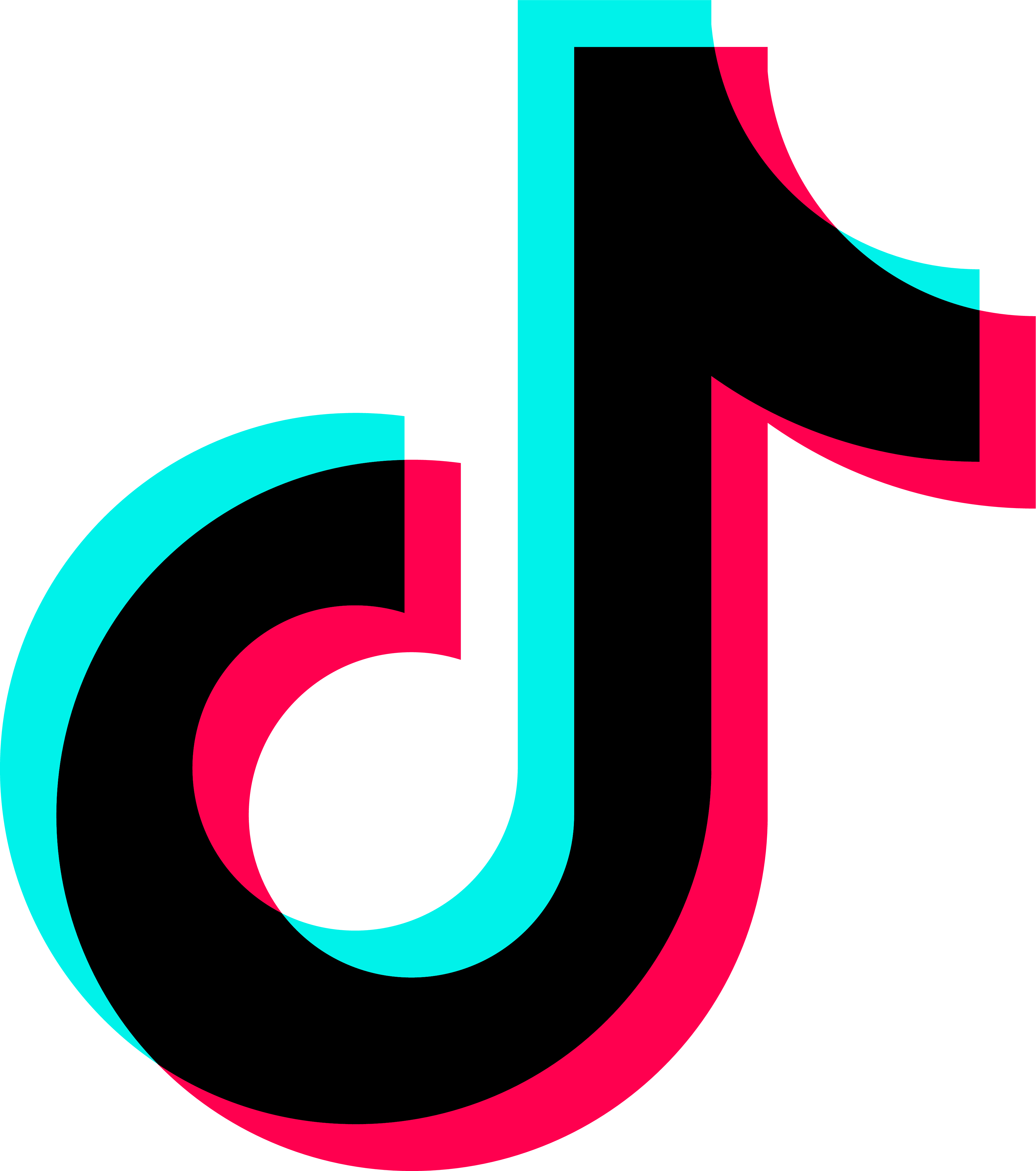 TikTok Ads